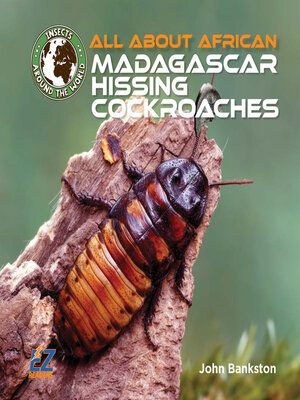 cover image of All About African Madagascar Hissing Cockroaches